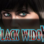 Black Widow Slot by IGT