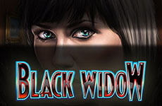 Black Widow Slot by IGT