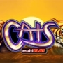 Cats Slot by IGT