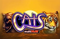 Cats Slot by IGT