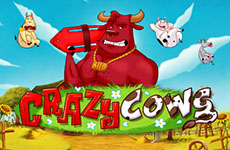 Crazy Cows Slot by Play’n Go