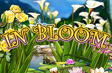 In Bloom Slot by IGT