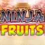 Ninja Fruits Slot by Play’n Go
