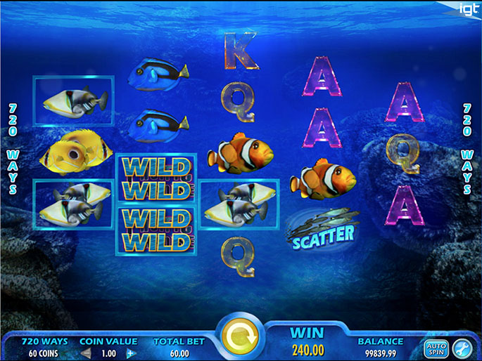 Pacific Paradise Slot Review & Free Spins | YourFreeSpins