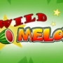 Wild Melon Slot by Play’n Go