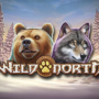 Wild North Slot by Play’n Go Logo