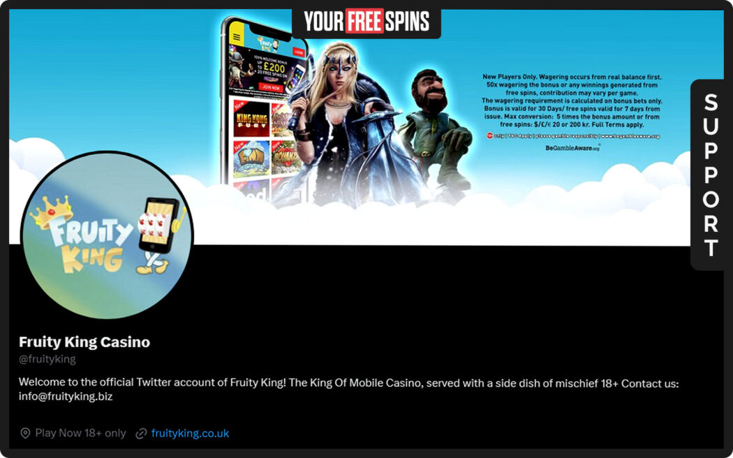 Fruity King , support center showing a detailed guide for resolving login and password problems via support